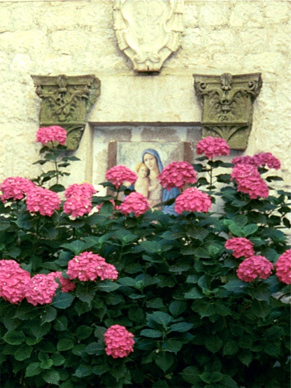 it mtc 45089_17.jpg